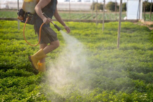 Best Exterminator Services  in Ofallon, MO