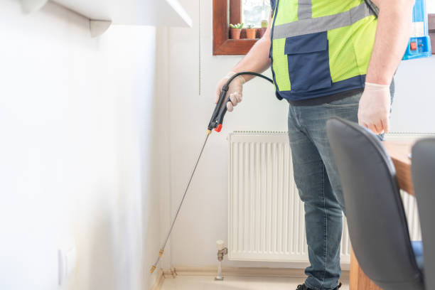 Best Pest Inspection Near Me  in Ofallon, MO